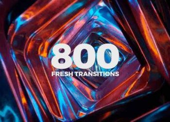 800 Fresh Transitions
