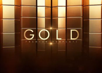 VIDEOHIVE GOLD