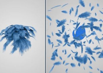 FEATHERS LOGO REVEAL