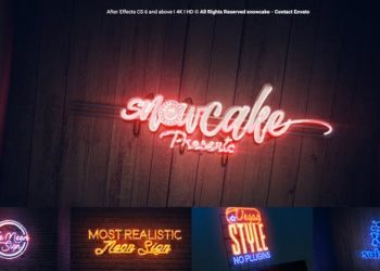 The Neon Sign