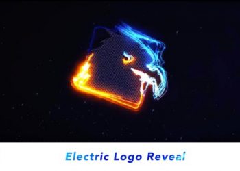 Logo Reveal