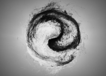 Yin Yang Logo Reveal