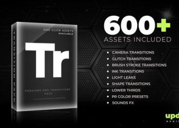 600+ Pack: Transitions, Light Leaks, Color Presets, Sound Fx
