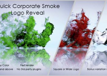 Quick Corporate Smoke Logo Reveal