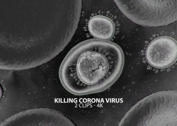 Killing Corona Virus