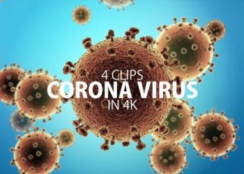 Corona Virus In 4k