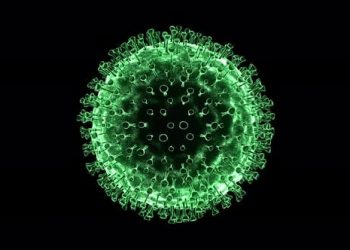 Corona Covid-19 Green Virus Organic Movement Under Electron Microscope