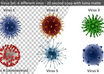 Virus Set 4k – 6 Different Viruses