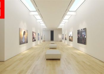 Art Museum Gallery