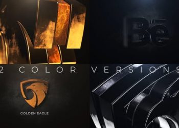 Gold And Silver Logo Reveal