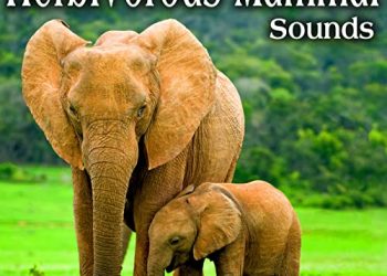 The Hollywood Edge Sound Effects Library Herbivorous Mammal Sounds FLAC