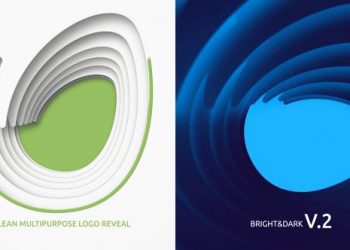 Clean Multipurpose Logo Reveal