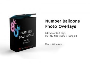 80 Number Balloons Photo Overlays