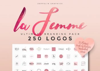 250 Feminine Logo Branding Pack
