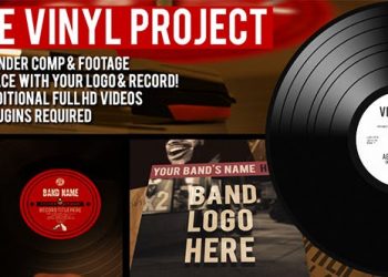 The Vinyl Record Project