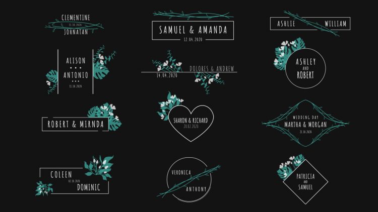 Wedding Titles Pack - Project for After Effects