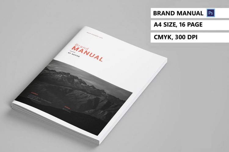 Brand Manual V964