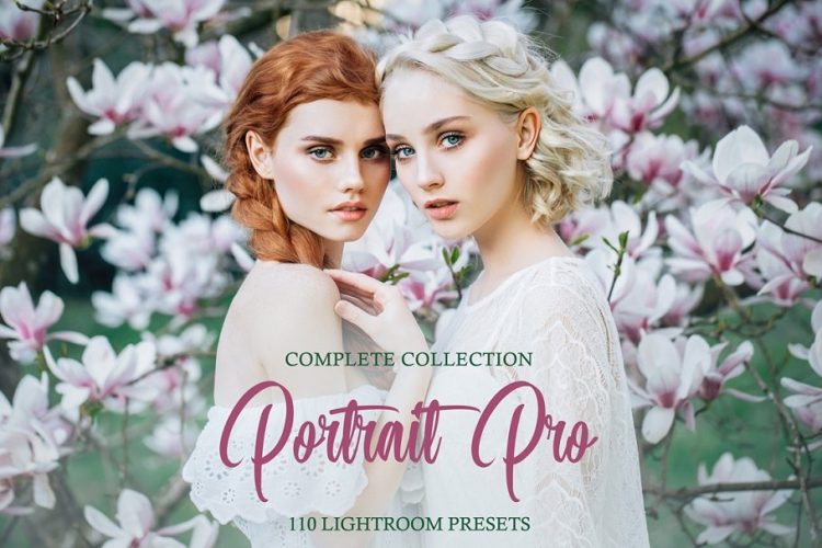 Download Portrait Pro Complete Collection