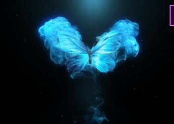 Flying Butterfly Logo Reveal 4k- Premiere Pro