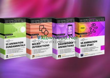 UI Animation Fundamentals & Micro-interactions & Dashboard Animations Bundle & UI Animation With After Effects Fast Start