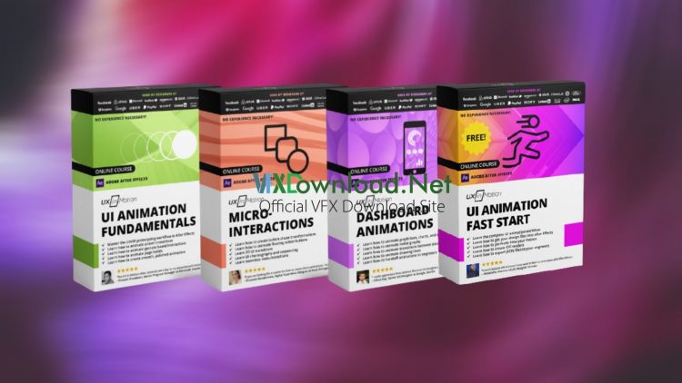 UI Animation Fundamentals & Micro-interactions & Dashboard Animations Bundle & UI Animation With After Effects Fast Start