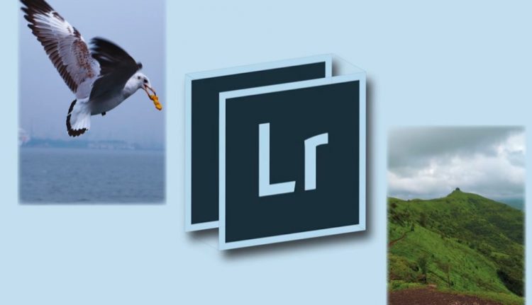 Learn Professional Photo editing with Adobe Lightroom By Harshit Srivastava
