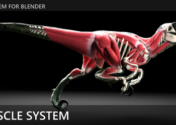 Blender Market X-Muscle System v2.47