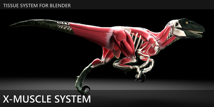 Blender Market X-Muscle System v2.47