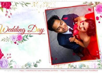 VideoHive Wedding Roses Day 38683219
