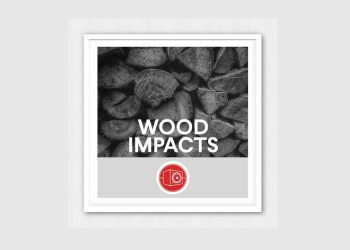 Big Room Sound - Wood Impacts