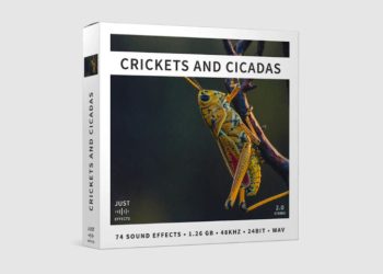 Just Sound Effects - Crickets And Cicadas