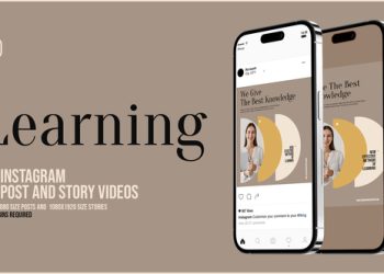 VideoHive E-Learning Instagram Posts and Stories Promo 39944512