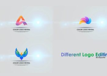 VideoHive Clean Logo Reveal 40256891