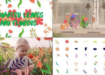 VideoHive Animated Leaves And Flowers for DaVinci Resolve 42946163