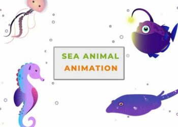 VideoHive Aquatic Sea Animals Animation Scene 42854739