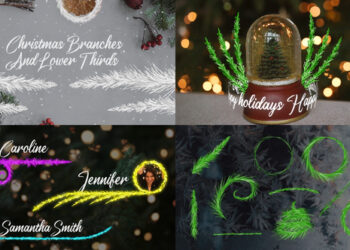 VideoHive Christmas Branches And Lower Thirds for DaVinci Resolve 42291548