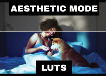 VideoHive LUTs Aesthetic 42313906