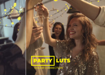 VideoHive LUTs Party 42950861