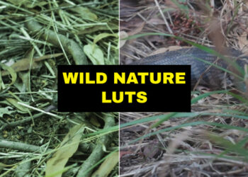 VideoHive LUTs Wild Nature 42168827