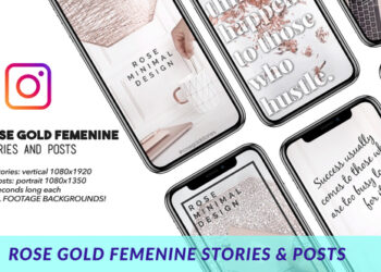 VideoHive Rose Gold Feminine Stories and Posts 41498144