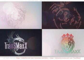 VideoHive Shaped Logo Reveal 42930672