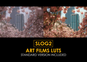 VideoHive Slog2 Art Films and Standard LUTs 41885137