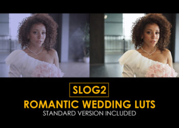 VideoHive Slog2 Romantic Wedding and Standard LUTs 41885414