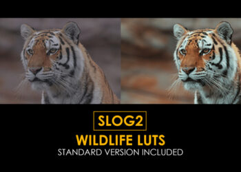VideoHive Slog2 Wildlife and Standard LUTs 41884677