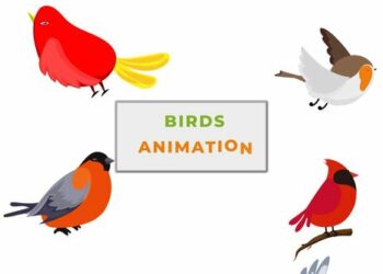 VideoHive Small Sparrow Birds Animation scene 42855426