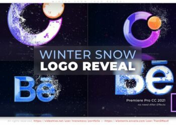 VideoHive Winter Snow Logo Reveal 43126776