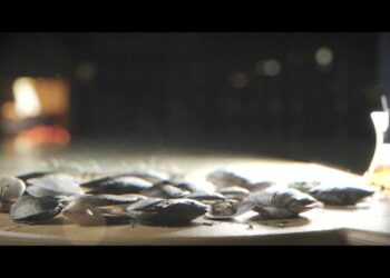 Cinematic Look With Blender - Step By Step - Updated 2023 By Sime Bugarija