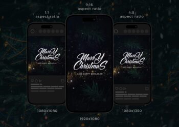 VideoHive Christmas Wishes Instagram Stories 42193653