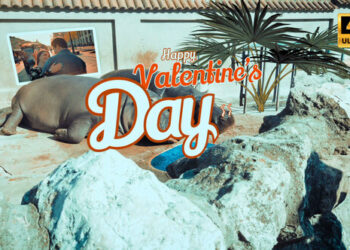 VideoHive Hippo Valentines Day 35633306