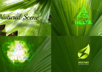 VideoHive Nature Logo Reveal 43254659